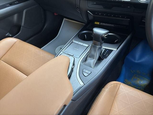 TOYOTA LEXUS UX250H 2020 Image 31