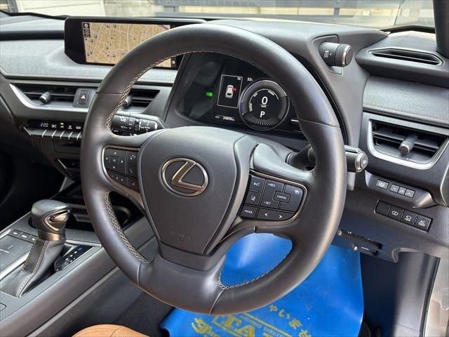 TOYOTA LEXUS UX250H 2020 Image 31