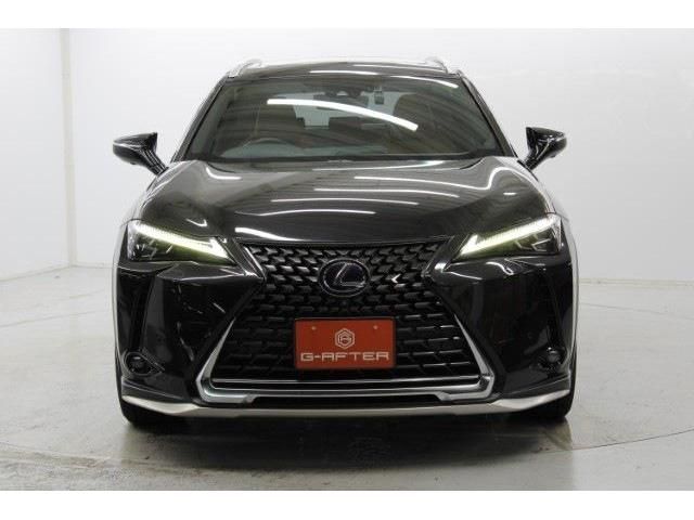 TOYOTA LEXUS UX250H 2018 Image 31