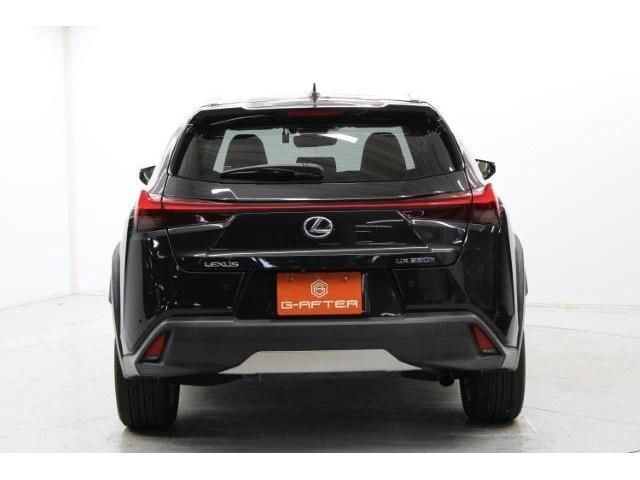 TOYOTA LEXUS UX250H 2018 Image 31