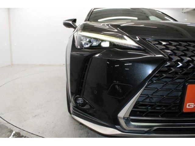 TOYOTA LEXUS UX250H 2018 Image 31