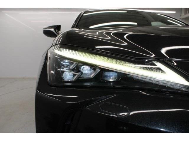 TOYOTA LEXUS UX250H 2018 Image 31