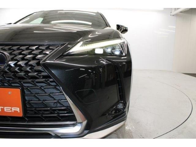 TOYOTA LEXUS UX250H 2018 Image 31