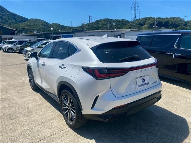 TOYOTA LEXUS NX350H 2024 Image 31