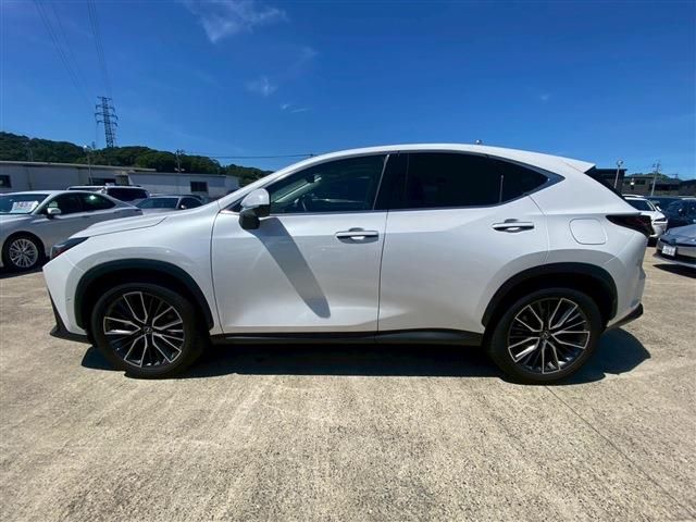 TOYOTA LEXUS NX350H 2024 Image 31