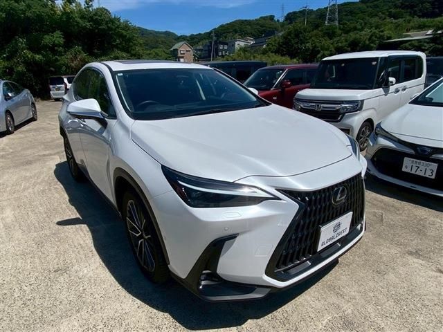 TOYOTA LEXUS NX350H 2024 Image 31