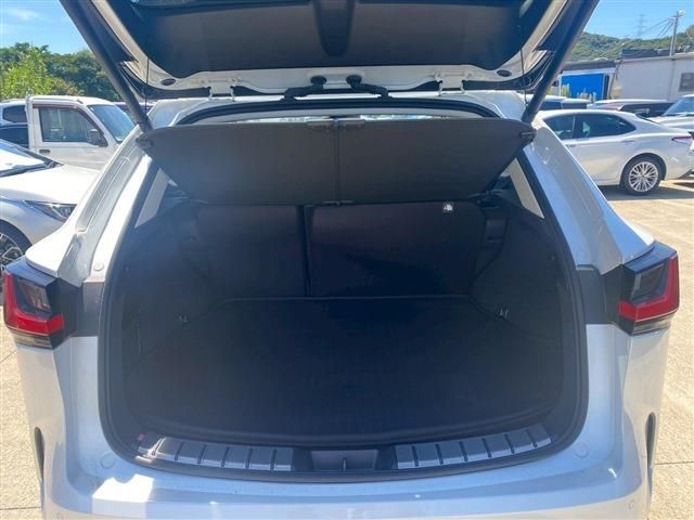 TOYOTA LEXUS NX350H 2024 Image 31