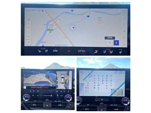 TOYOTA LEXUS NX350H 2024 Image 31