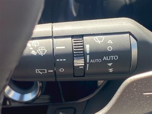 TOYOTA LEXUS NX350H 2024 Image 31