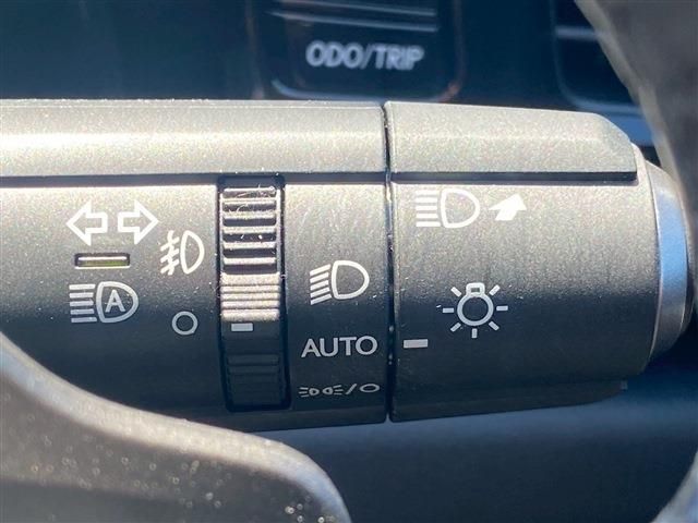 TOYOTA LEXUS NX350H 2024 Image 31