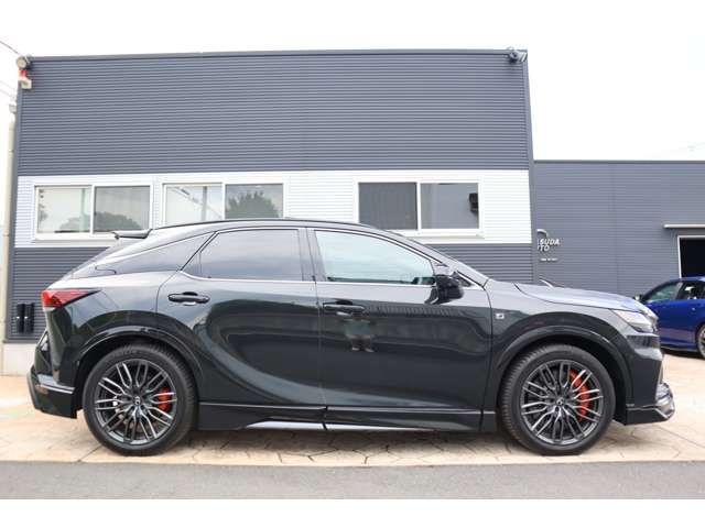 TOYOTA LEXUS RX500H 2023 Image 31