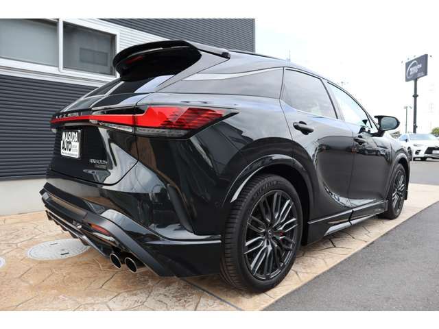 TOYOTA LEXUS RX500H 2023 Image 31