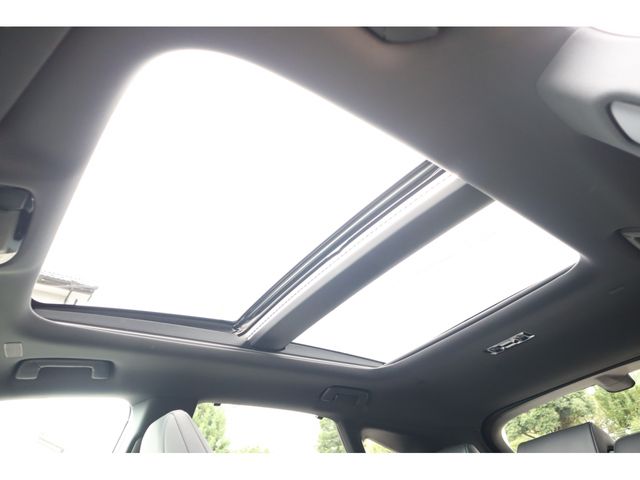 TOYOTA LEXUS RX500H 2023 Image 31