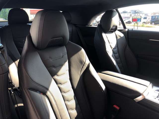 BMW 8SERIES OPEN 2022 Image 31