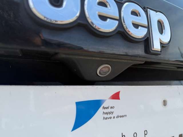 JEEP RENEGADE 2018 Image 31