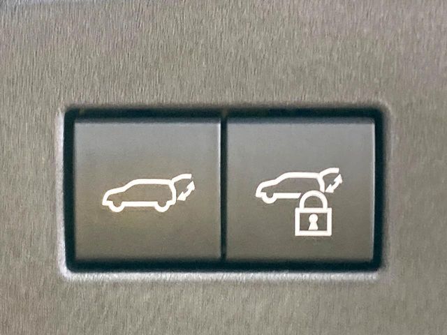 TOYOTA LANDCRUISER 250 2024 Image 31