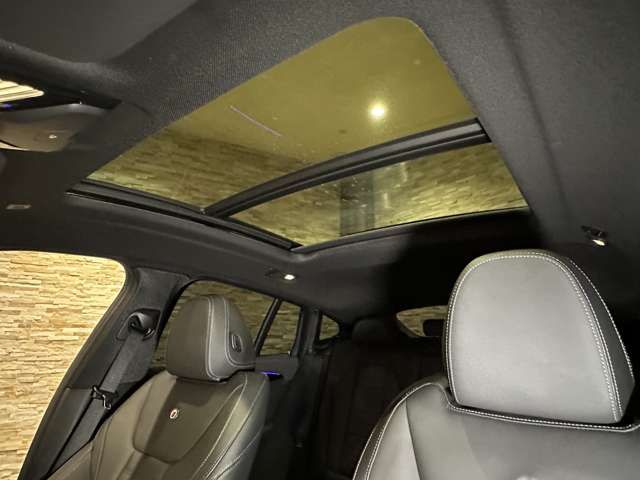 ALPINA XD4 2020 Image 31