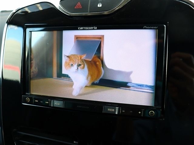 RENAULT LUTECIA 2014 Image 31