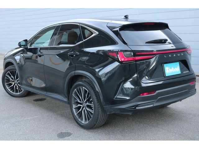 TOYOTA LEXUS NX250 2023 Image 31