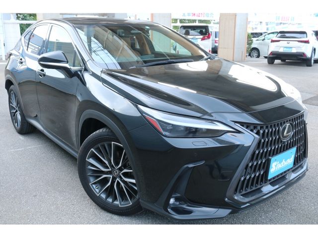 TOYOTA LEXUS NX250 2023 Image 31