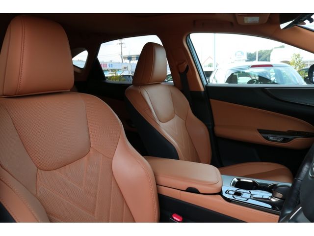 TOYOTA LEXUS NX250 2023 Image 31