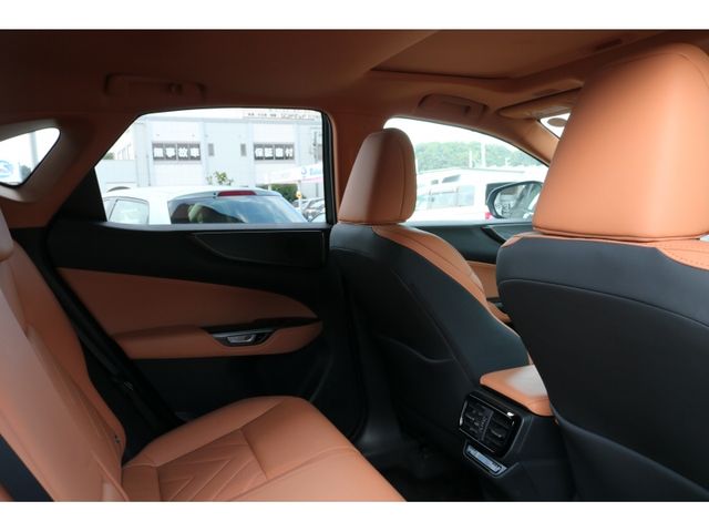 TOYOTA LEXUS NX250 2023 Image 31