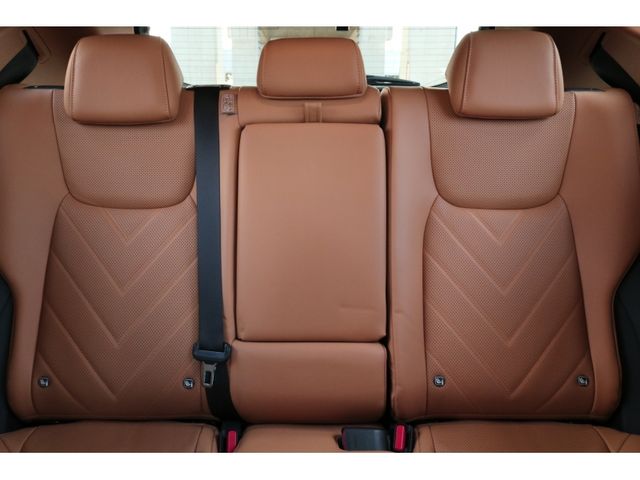 TOYOTA LEXUS NX250 2023 Image 31