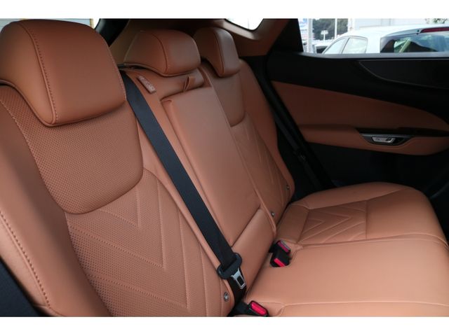 TOYOTA LEXUS NX250 2023 Image 31