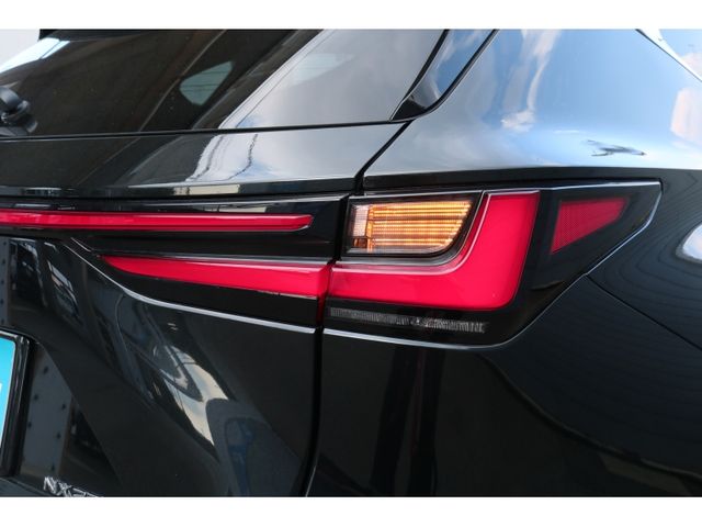 TOYOTA LEXUS NX250 2023 Image 31