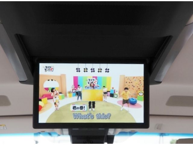 TOYOTA LEXUS LM500H 2025 Image 31