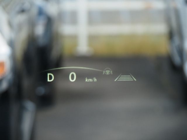 TOYOTA LEXUS LM500H 2025 Image 31