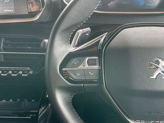 PEUGEOT 2008 2020 Image 31