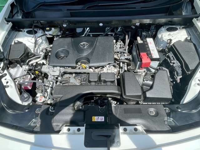 MITSUOKA BUDDY 2022 Image 31