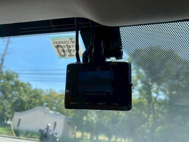 MITSUOKA BUDDY 2022 Image 31