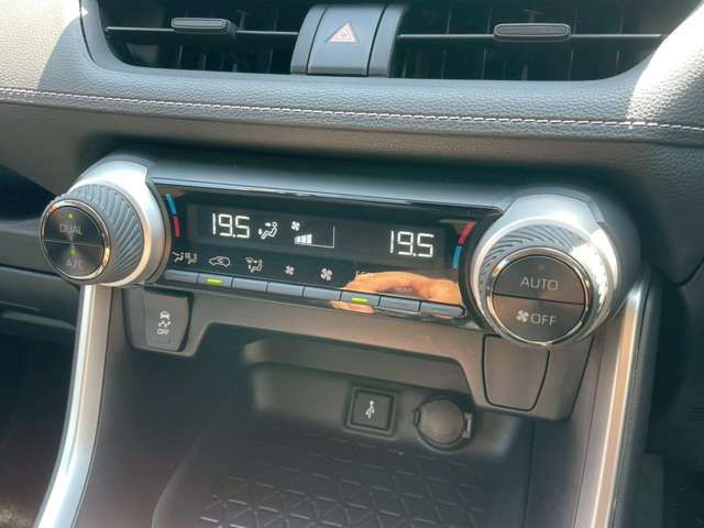 MITSUOKA BUDDY 2022 Image 31