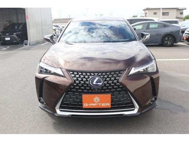 TOYOTA LEXUS UX250H 2019 Image 31