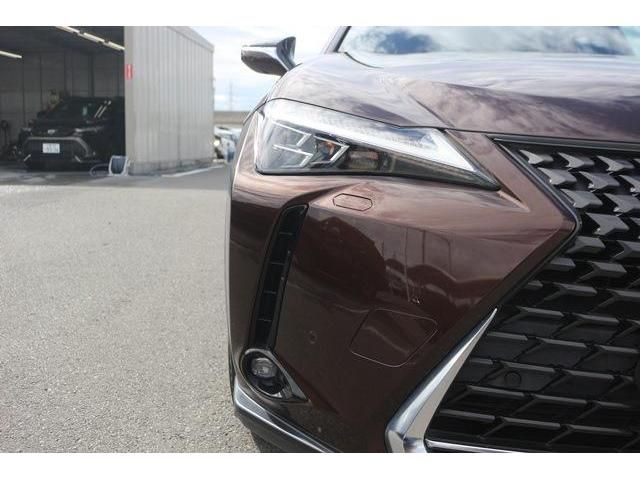 TOYOTA LEXUS UX250H 2019 Image 31