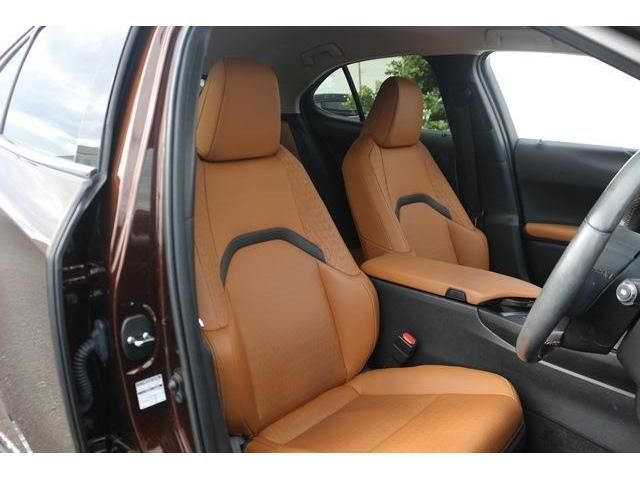 TOYOTA LEXUS UX250H 2019 Image 31