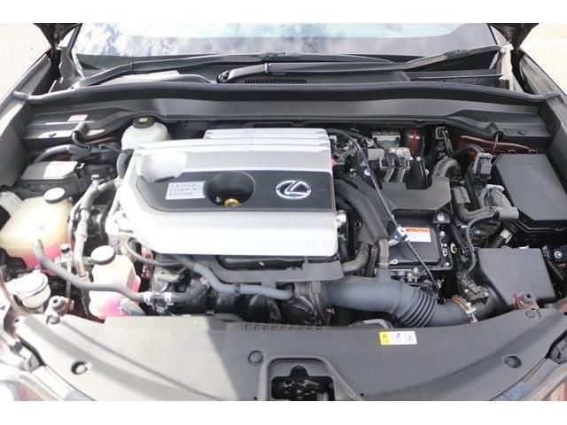 TOYOTA LEXUS UX250H 2019 Image 31