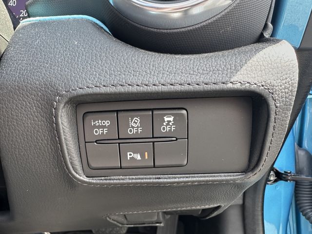 MITSUOKA ROCK STAR 2021 Image 31