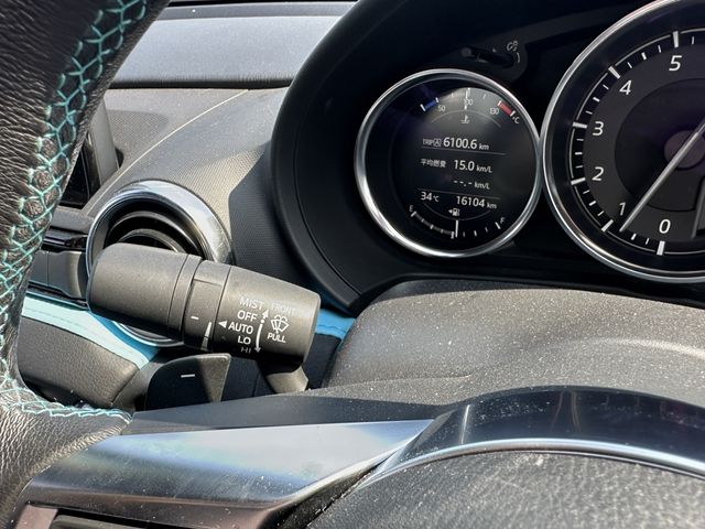 MITSUOKA ROCK STAR 2021 Image 31