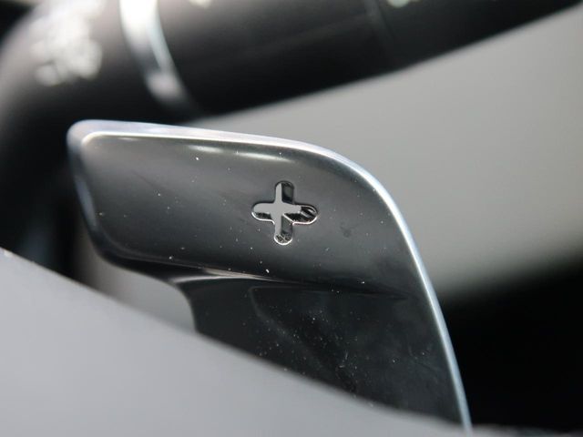 ROVER RANGE  EV 2024 Image 31