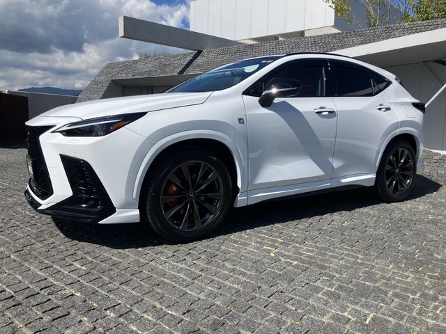 TOYOTA LEXUS NX350H AWD 2023 Image 31