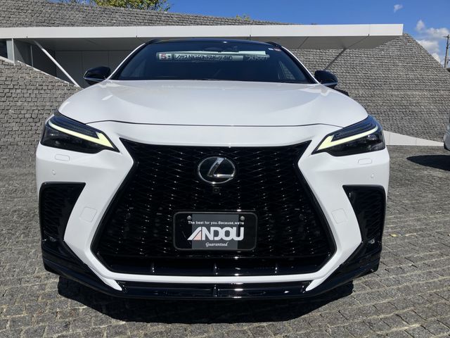 TOYOTA LEXUS NX350H AWD 2023 Image 31