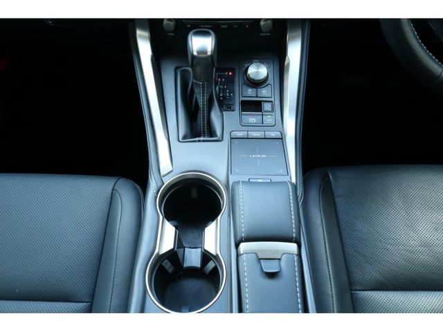 TOYOTA LEXUS NX300H 2018 Image 31