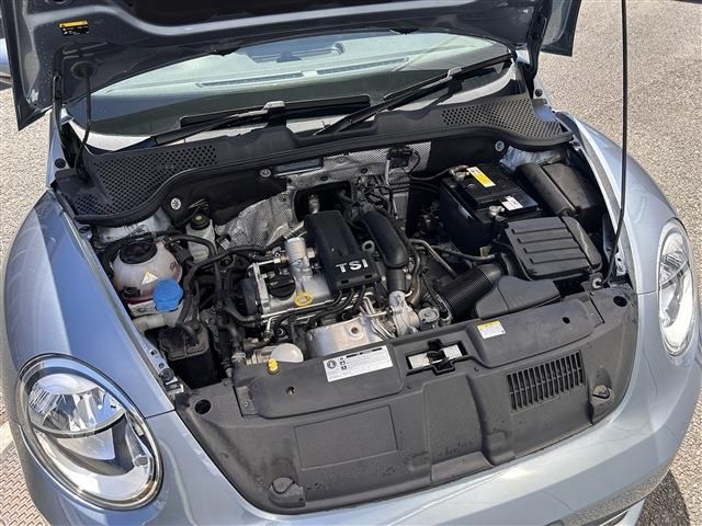 VOLKSWAGEN THE BEETL 2019 Image 31