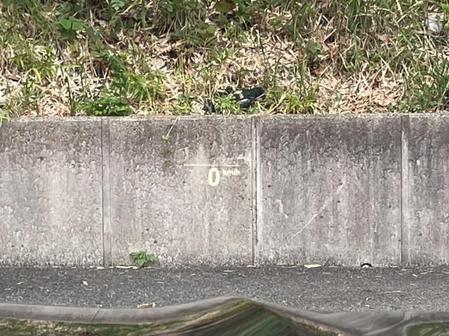 BMW X3 2020 Image 31