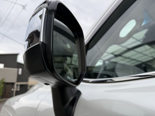 TOYOTA LANDCRUISER WAGON 2024 Image 31