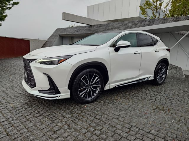 TOYOTA LEXUS NX250 2023 Image 31