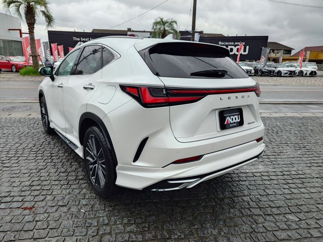 TOYOTA LEXUS NX250 2023 Image 31